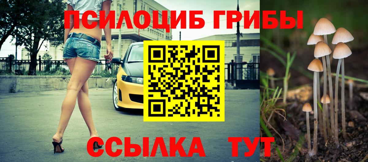 Октябрьский  Псилоцибиновые грибы мицелий  Псилоцибиновые грибы Cubensis  Вход с VPN 